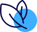 icon 4